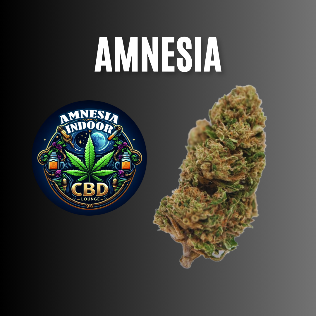 AMNESIA