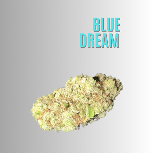 BLUE DREAM ❄️