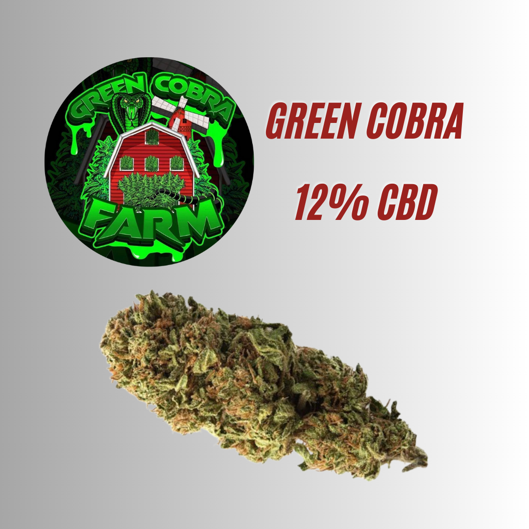 GREEN COBRA 🐉