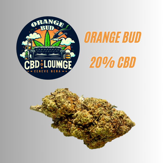 ORANGE BUD