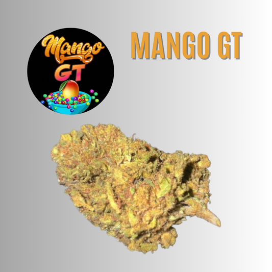 MANGO GT