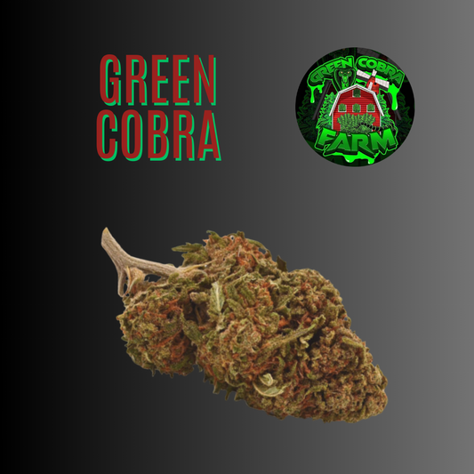 GREEN COBRA 🐉